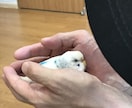 貴方の悩み、愚痴、お話し伺います 普段、なかなか人には言えない、悩みや愚痴をぶつけて下さい。 イメージ1