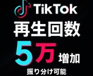 TikTok再生回数5万増やします TikTokの再生回数を大幅に増加！振り分けも可能！ イメージ1