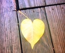 さらに読み解きます ☆*:.｡. リピーターさまへ.｡.:*☆ イメージ1
