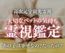 ペットと繋がり、気持ちと言葉を高次元光霊視します 大切な家族の気持ちと本当の言葉を降ろし、丁寧にお伝えします。 イメージ1