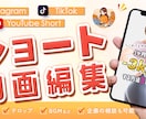 ショート動画を作成します 【ショート動画編集～テンポよく魅せる動画をお届けします！】 イメージ1