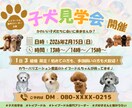 女性向けのおしゃれでかわいいWEB画像を制作します バナー・SNS・サムネ作成♪ リサーチも相談も何度でも！ イメージ4