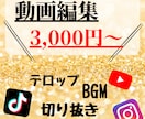 切り抜き、テロップ入れ等、動画編集承ります 格安で高品質！お気軽にご相談ください！ イメージ1