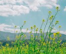 自己理解と心の整理｜じぶんらしさを一緒に探します 自己受容と行動力で、本当に満たされるじぶんになろう！ イメージ3