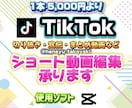 TikTokショート動画、個人利用動画を制作します 忙しくて動画を作る時間がないあなたに！ イメージ1