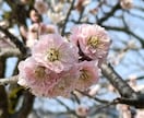 90分、小、中、高校生、家庭教師します 高校生は英語、小、中学生は全教科に対応します。 イメージ1