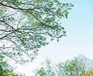 誰にも話せないセンシティブな悩みお聞きします お悩みや不安・愚痴など、ただただ優しく受け止めます⭐︎ イメージ1