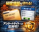 特許出願中 あらゆるWeb不正コピーから守ります あなたのWeb、丸見えじゃもう古い。改造も防げる！ イメージ4
