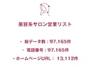美容系サロン営業リストを即納します 97,165件｜美容系サロン店舗データ 電話・URL情報含む イメージ2
