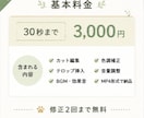 SNSショート動画を編集します SNS動画を丁寧・迅速に編集します イメージ4