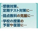 オンライン授業3000レッスン以上の講師が教えます 小中学生の主要5教科、高校生の英国を楽しく学習！ イメージ2