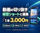 字幕付きの縦型ショート切り抜き動画を作ります 1本3,000円｜60秒以内・字幕・修正1回込み イメージ1