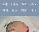 キャンバでアルバム（データでのお渡し）つくります 思い出を形にするお手伝いさせてください！ イメージ5