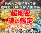 限定1枠★【魂の鑑定】対面鑑定のように深くます 8000字超の超ボリューム鑑定/画像付き/深掘りリーディング イメージ1