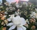 お話し何でも聞きます ちょっと聞いて欲しい時、５分からでもお気軽にどうそ♪ イメージ1