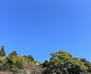 専用ですます お待ちしております(ᴗ͈ˬᴗ͈)(ᴗ͈ˬᴗ͈) イメージ1