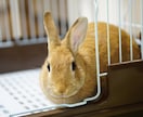 親身度！恋愛・生活なんでも相談にのります 元カフェバー経営者バーテンダーが聞き役に徹して癒します イメージ1