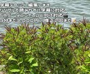 字幕のみ対応します。ご希望にあわせて編集します SNSやYouTube向け字幕、ていねいに編集します イメージ2
