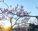 子育て中・子どもの発達に不安な方のお話を聞きます 頑張っているママパパの気持ちに寄り添います イメージ1