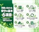 WordPress保守を月額で代行し毎月報告します 更新・バックアップ・監視をお任せ。毎月欠かさず確認します イメージ2