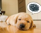 対人関係のお悩みをズバリ！アドバイスします 嫌われるのはなぜ？どうすれば、良い関係を作れるのか イメージ1