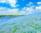 春）季節の話題を楽しもう✨巡る四季ご一緒します 【５月】季節毎に変わるサムネイル・サービス文をお楽しみに♪ イメージ2