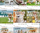 Instagramの画像と文章を1ヶ月分作成します 現役マーケターが執筆！ターゲットを惹きつける投稿を作ります イメージ5