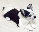 うちの子 羊毛フェルトでお作りします お写真から大切なペットさんをリアルにお作りします イメージ10