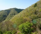 子育て移住田舎暮らしを考えている方へお悩み聴きます 田舎での子育ての本音、地方移住の疑問の“リアル”を答えます イメージ2