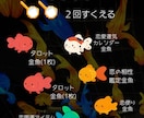 選択自由！２匹の占い金魚で2025夏恋進めます 悩んでる間に夏終わるで！その恋進めるための２匹の占い金魚やで イメージ1
