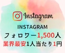 Instagramフォロワー1,500人増加します 【低価格・高品質・安全・素早く】 イメージ1