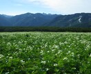 登山についての各種相談、承ります 【初心者歓迎】日帰り、テント泊、沢登り、雪山　各種入門 イメージ1