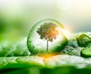 数学ⅢCのオンライン家庭教師をします 数学ⅢCの学習への疑問点は、このオンラインレッスンで一掃！ イメージ4