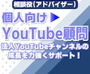 個人向けYouTubeアドバイザ（1ヵ月）承ります 直接YouTubeクリエイターサポートチームに随時質問も可能 イメージ1