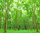 誰にも言えない秘密の話聞きます◎聞き役に徹します 人に話すと嫌われる？そんな悩みも僕が優しく寄り添います◎ イメージ7