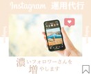 Instagram運用代行承ります 濃いフォロワーさんを増やします イメージ1