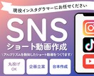 SNSのプロがショート動画を作成します 現役インスタグラマーがショート動画を編集、企画作成します イメージ1