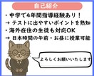 元数学教師が優しく丁寧にオンライン指導します できる！わかる！が増えていく数学ねこの教室 イメージ2