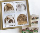 うちの子似顔絵とチャームをお作りします 写真には残らない、そのコらしさを小さな原画とチャームに イメージ4