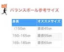 理学療法士（国家資格）がバランスボール運動をします リハビリ視点からタイプや目的に合わせた個別運動プログラム イメージ6