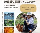 画角で魅せる！自然体なポートレート撮影します 写真館よりナチュラルに。カット数無制限撮り放題！ イメージ3