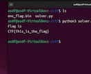 セキュリティコンテスト最初の一歩を支援します 仮想環境の構築からCTF解答までビデオチャットでサポート イメージ1