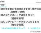 資料を用いて成長期の発達過程をお伝えします 成長期の伸び代を逃さない！アスリートキッズの親は絶対知って！ イメージ6