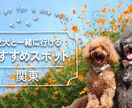 格安価格１５００円で！Web画像作成します 妥協せず細かいところまでこだわり丁寧にお作りします！ イメージ6