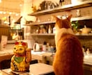 上海歴10年のデザイナーがお店探しお手伝いします 雰囲気の良い素敵なお店から地元に愛されるどローカル店まで イメージ7
