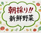 野菜、果物等のポップ作成します 経済的！使い回し可能なポップです　書いたり消したり出来ます イメージ9