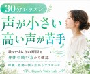 声が小さい・高い声が苦手｜ボイトレで改善します 初心者OK♪「なんだか歌いづらい…」その原因にアプローチ！ イメージ1