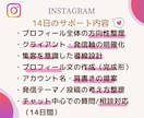 Instagram立ち上げ・方向性サポートします スタートでつまずかないInstagram設計14日間 イメージ4