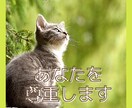 あなたの不安や人間関係のお悩みを丁寧にお聴きします 【こころのソムリエ】あなたのお悩みを5分でもお聴きします♪ イメージ5