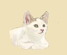 ご自宅で一緒に住んでるネコのイラストを制作します ご自宅ネコちゃんイラスト（お試し版：肩より上・顔アップ） イメージ5